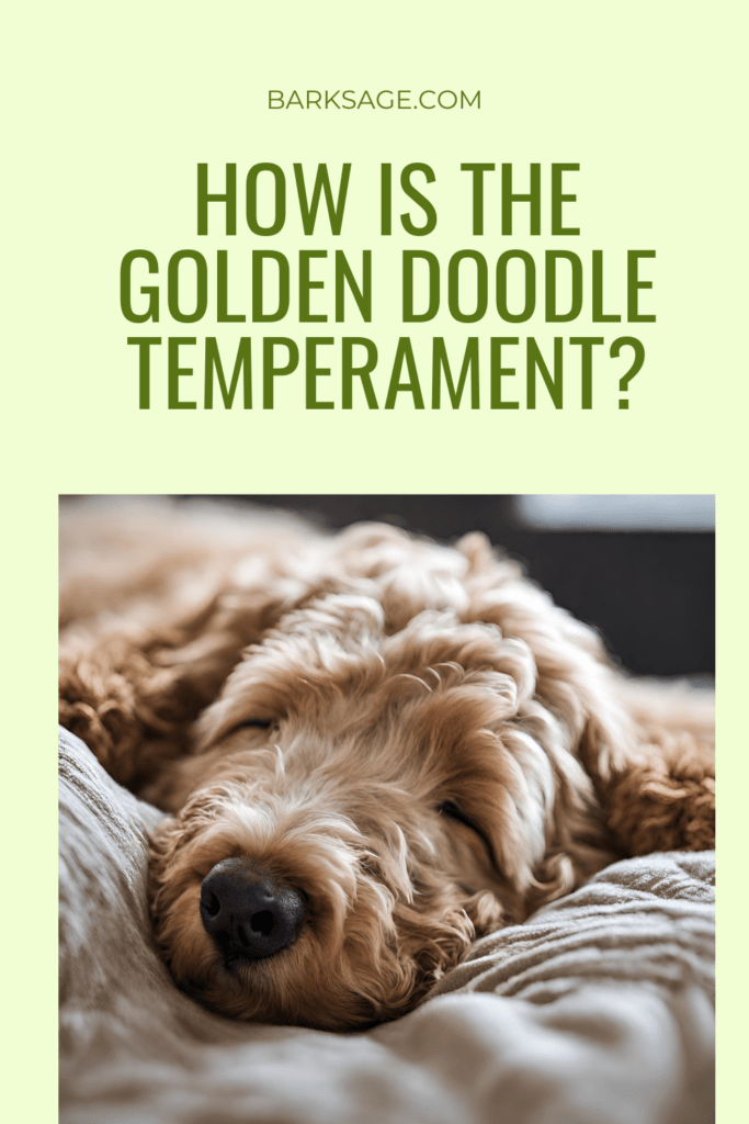 Goldendoodle Temperament?